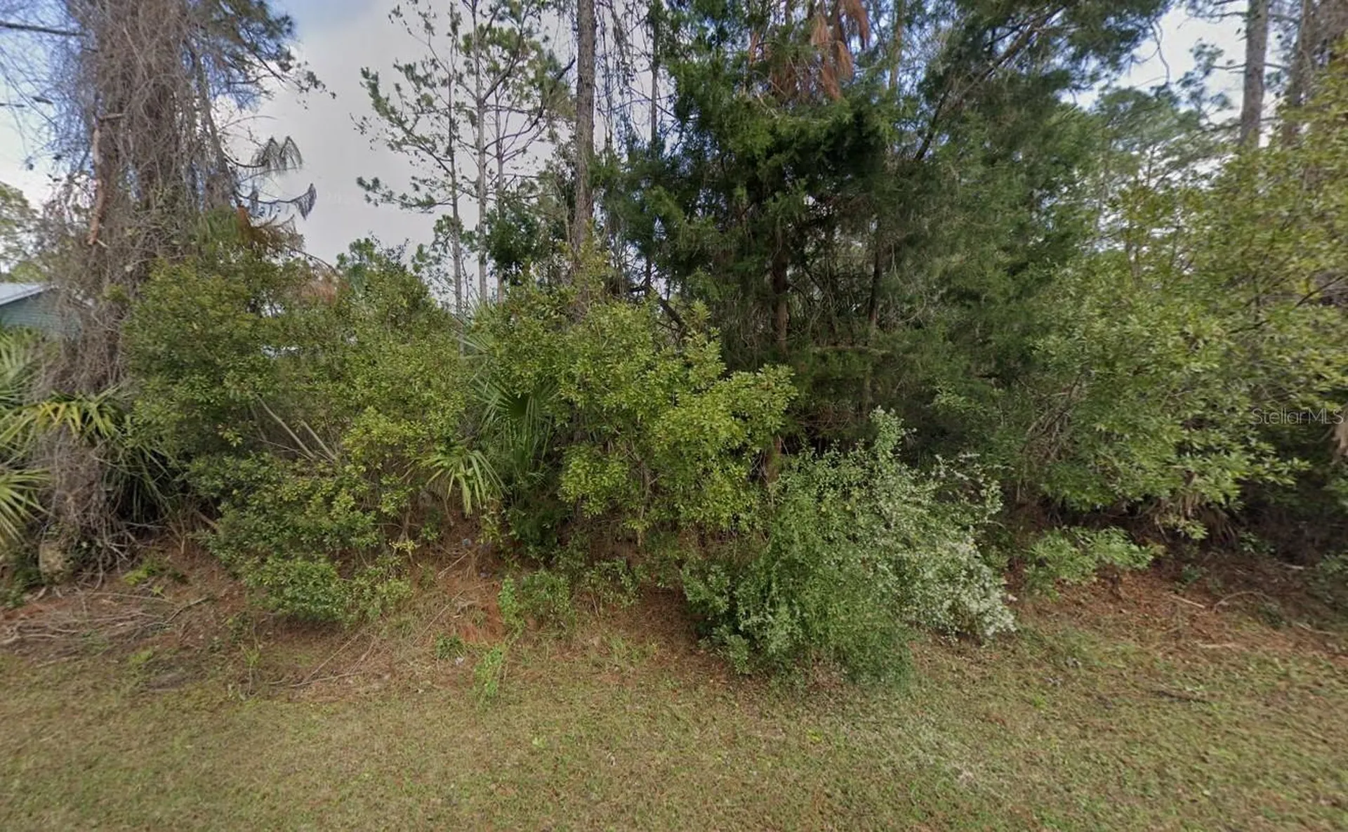 32 Serbian Bellflower Trail Palm Coast FL 32164