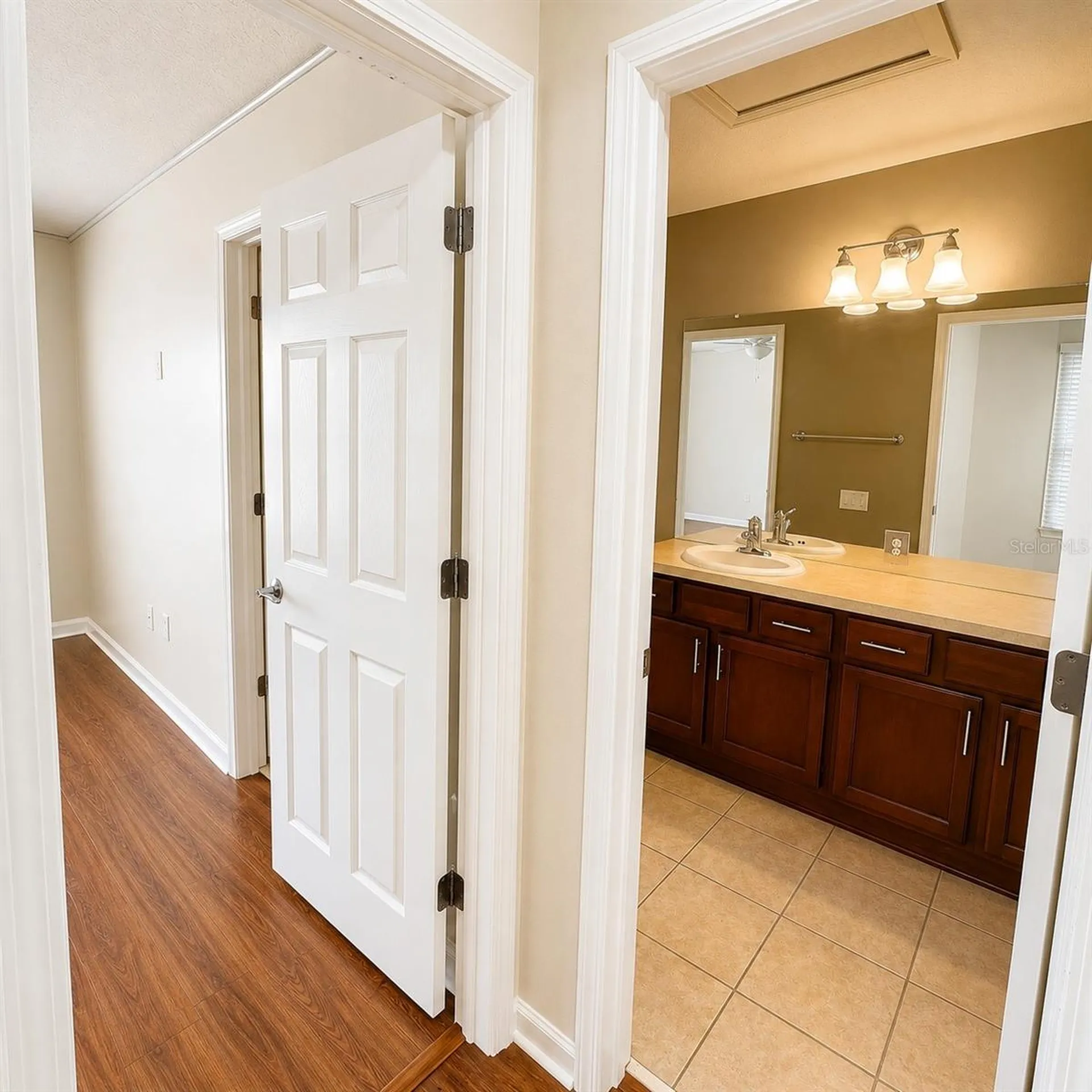 10222 Pink Palmata Court Riverview FL 33578
