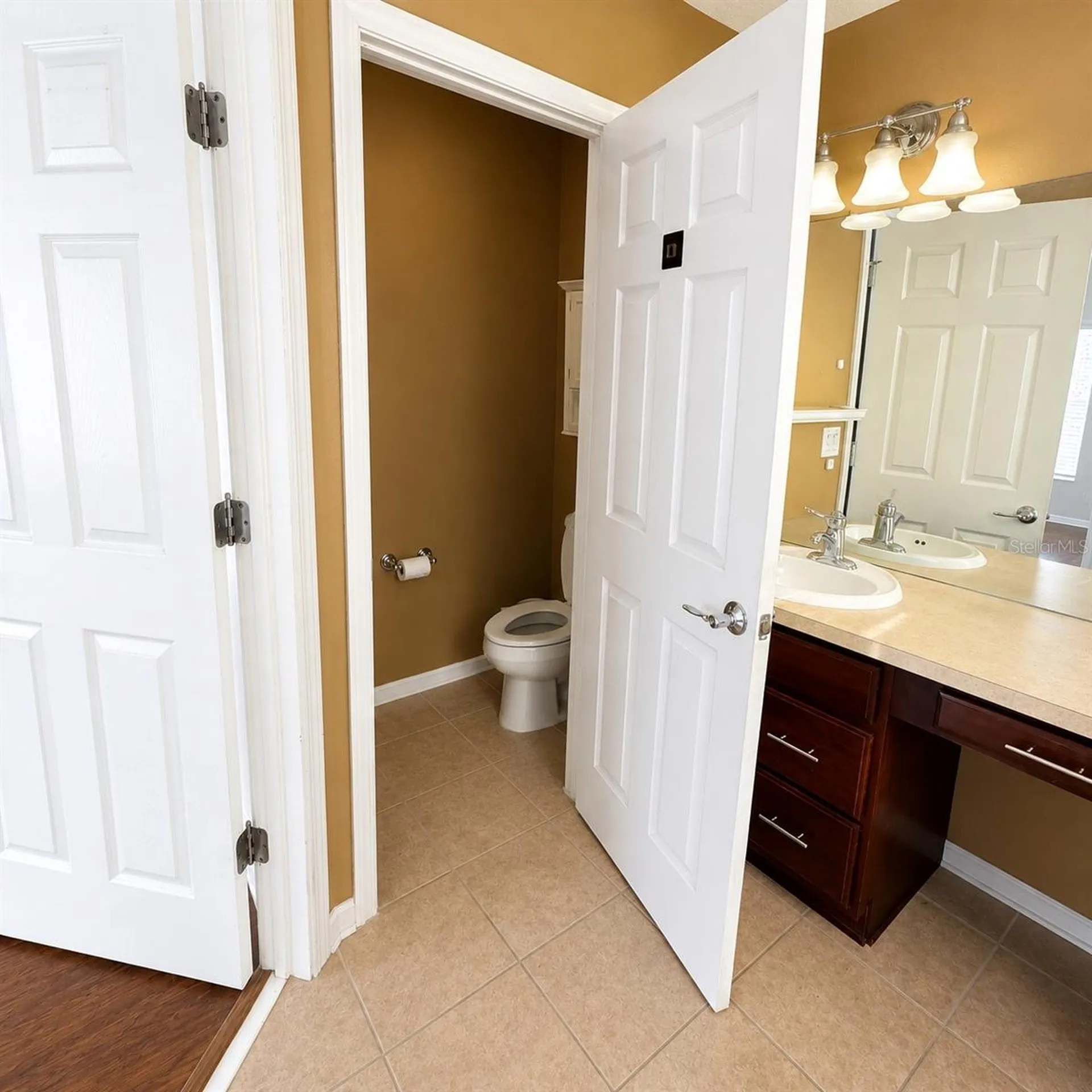 10222 Pink Palmata Court Riverview FL 33578