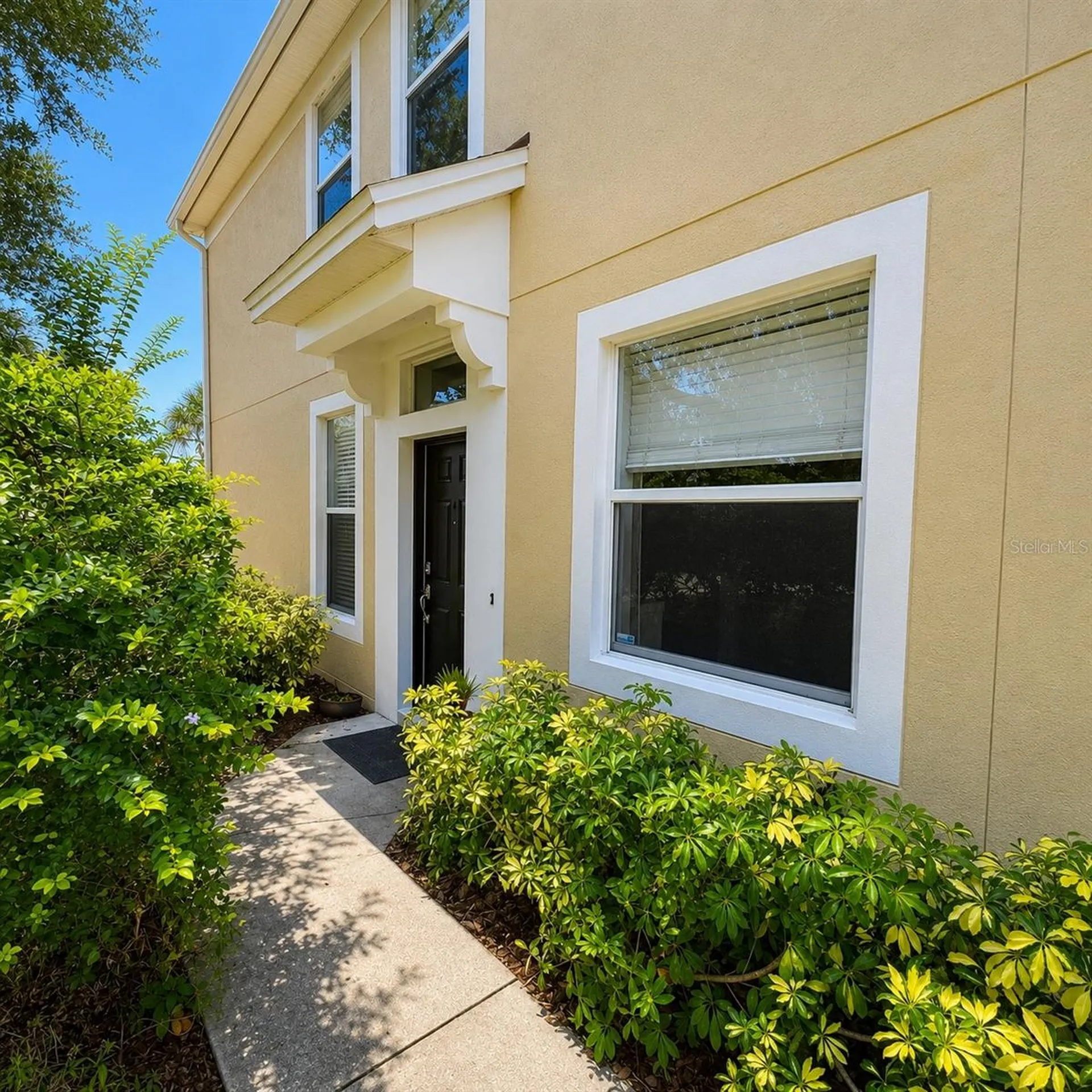 10222 Pink Palmata Court Riverview FL 33578