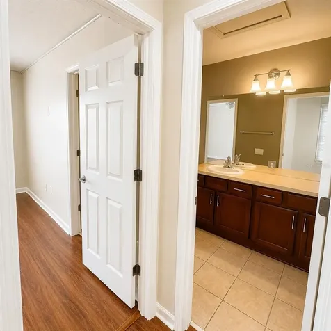 10222 Pink Palmata Court Riverview FL 33578