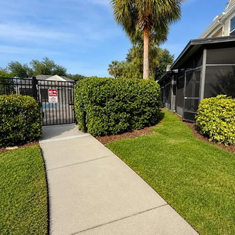 10222 Pink Palmata Court Riverview FL 33578