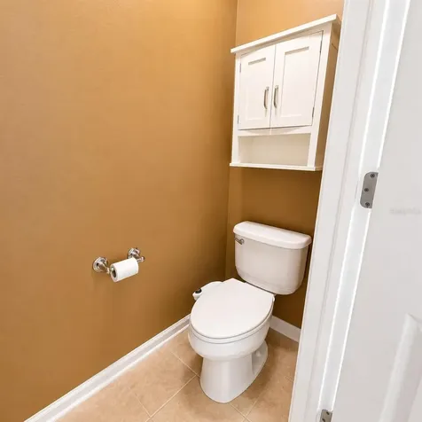 10222 Pink Palmata Court Riverview FL 33578