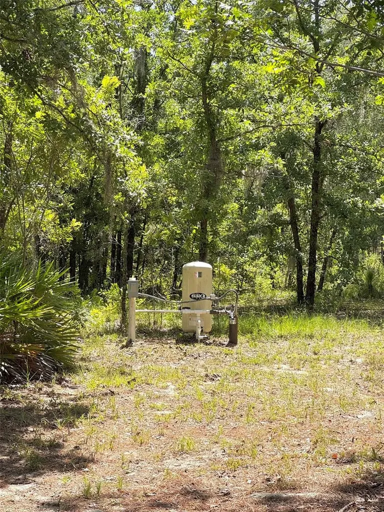 5331 SE 122 Avenue Morriston FL 32668