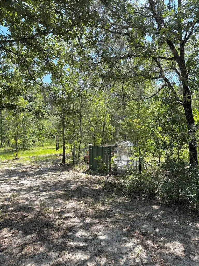 5331 SE 122 Avenue Morriston FL 32668
