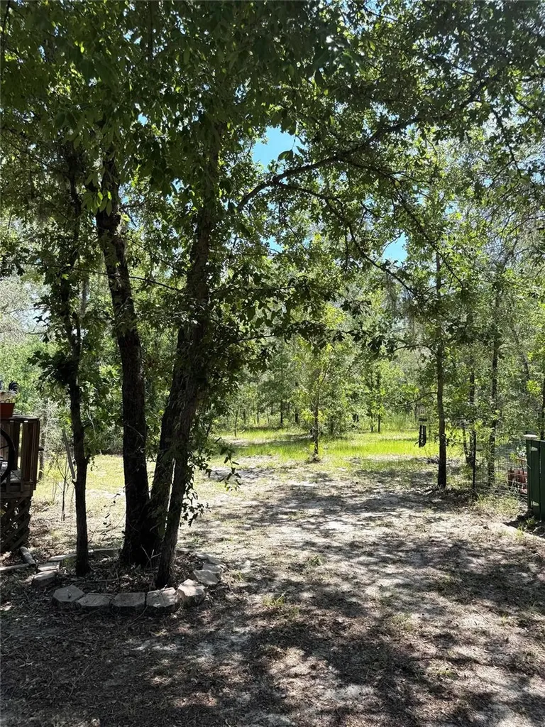 5331 SE 122 Avenue Morriston FL 32668