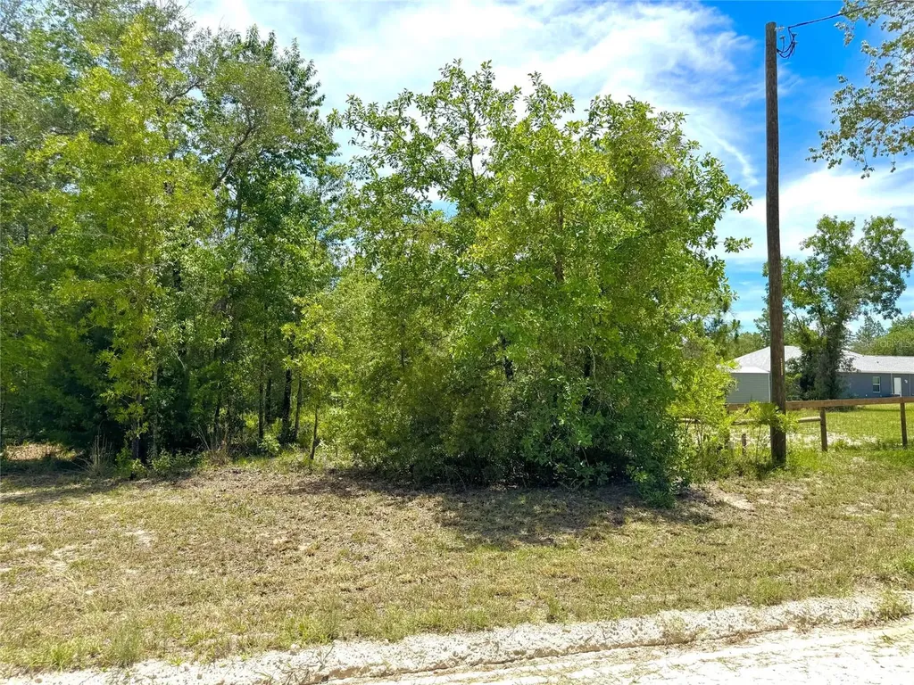 5331 SE 122 Avenue Morriston FL 32668
