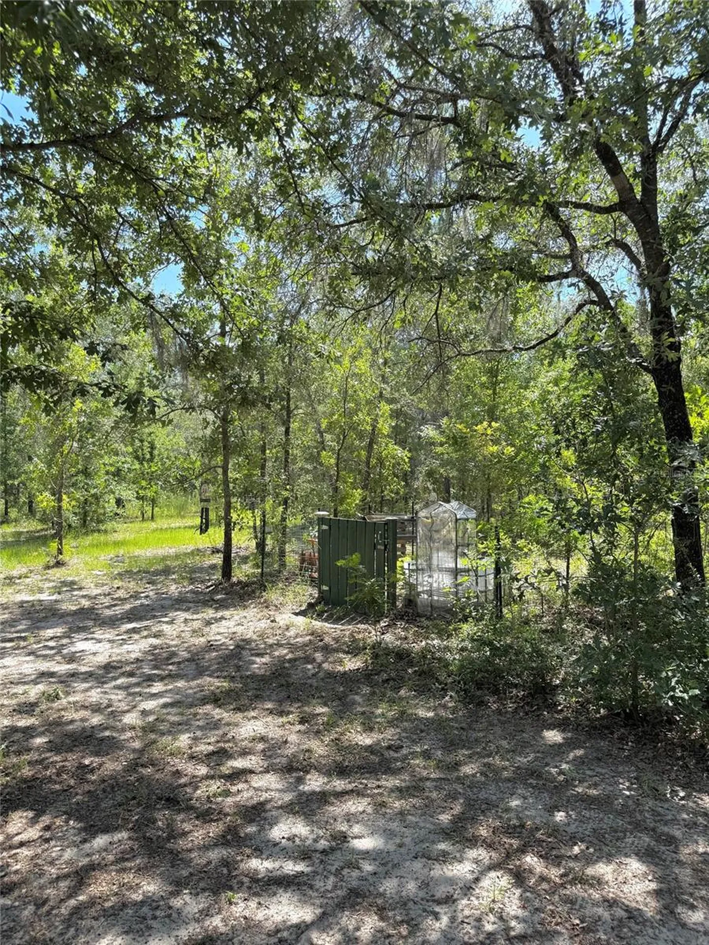 5331 SE 122 Avenue Morriston FL 32668