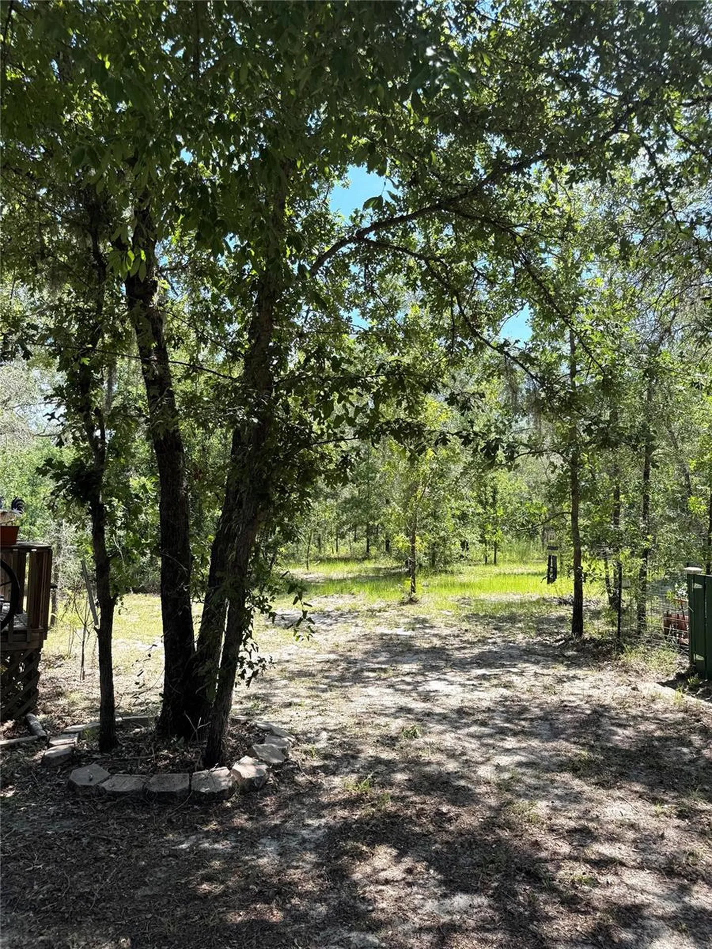 5331 SE 122 Avenue Morriston FL 32668