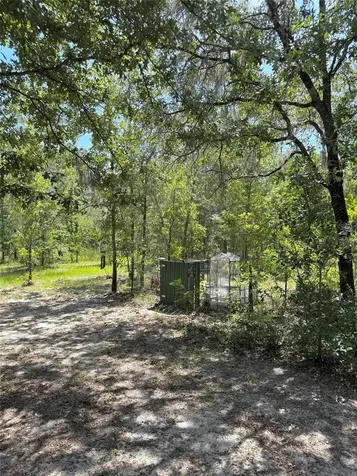 5331 SE 122 Avenue Morriston FL 32668