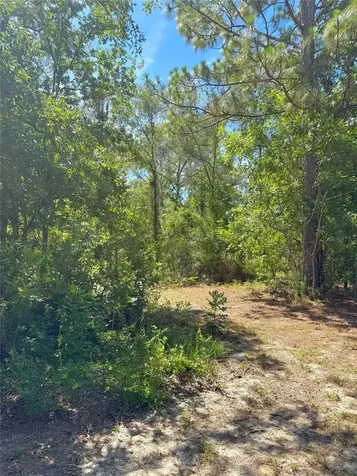5331 SE 122 Avenue Morriston FL 32668
