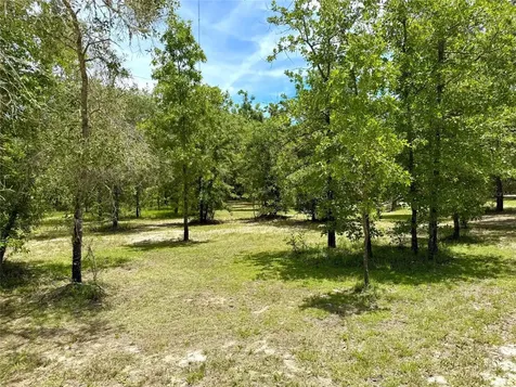 5331 SE 122 Avenue Morriston FL 32668