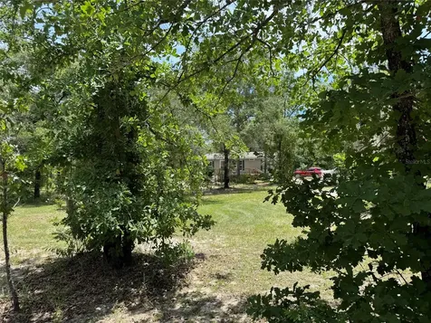 5331 SE 122 Avenue Morriston FL 32668