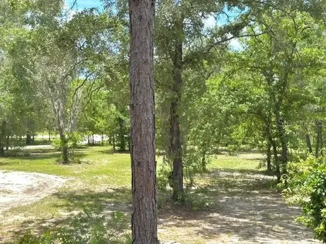 5331 SE 122 Avenue Morriston FL 32668