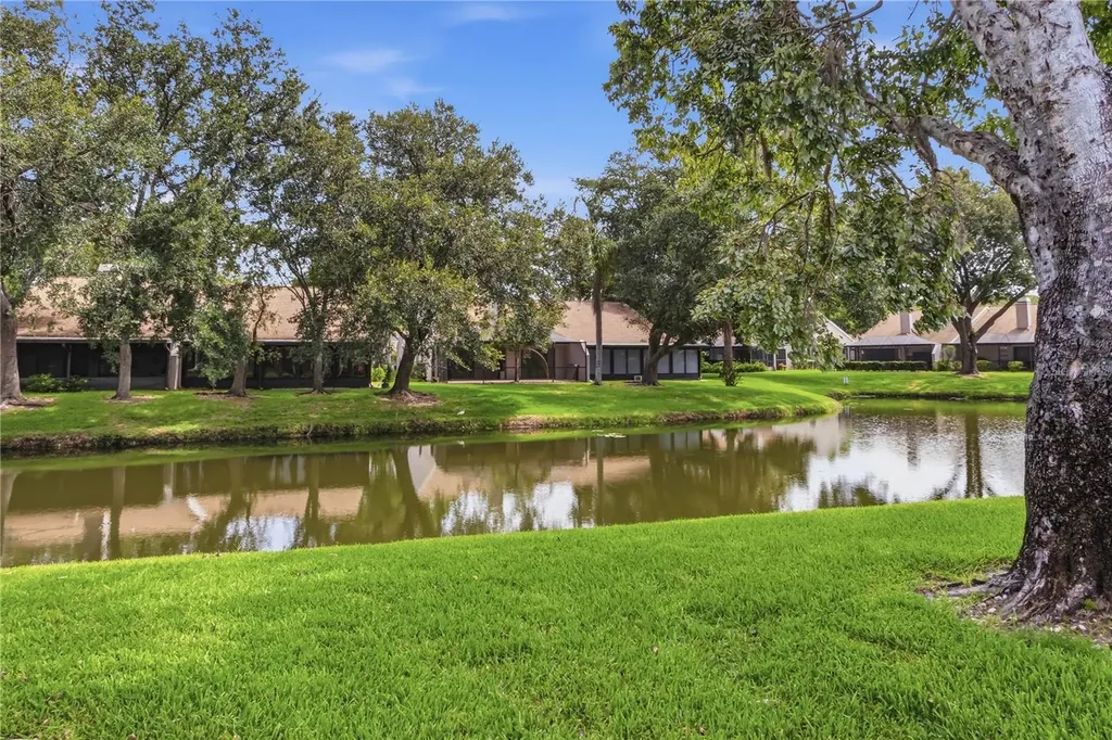 5515 Salem Square Drive S Palm Harbor FL 34685