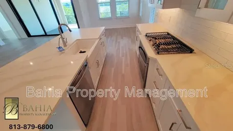 1074 Seagrape Drive Ruskin FL 33570