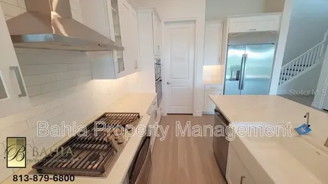 1074 Seagrape Drive Ruskin FL 33570