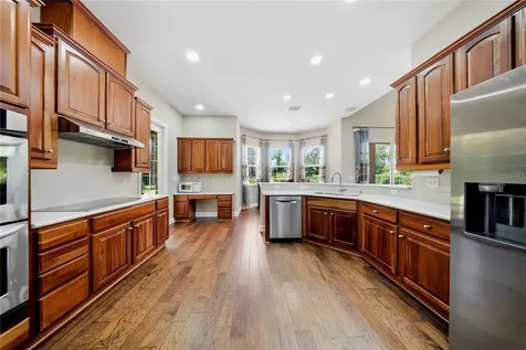 9244 Rhea Drive Odessa FL 33556