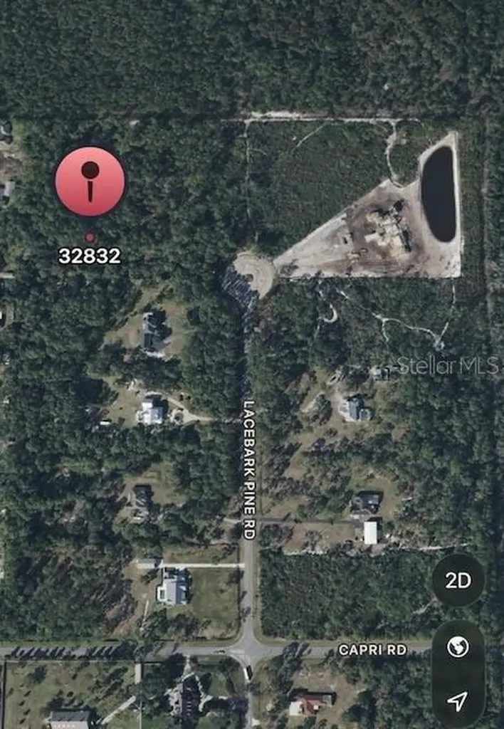 13114 Lacebark Pine Road Orlando FL 32832