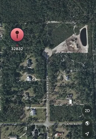 13114 Lacebark Pine Road Orlando FL 32832