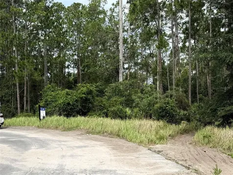 13114 Lacebark Pine Road Orlando FL 32832
