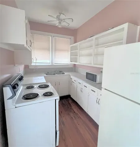 215 N Buena Vista Drive Lake Alfred FL 33850