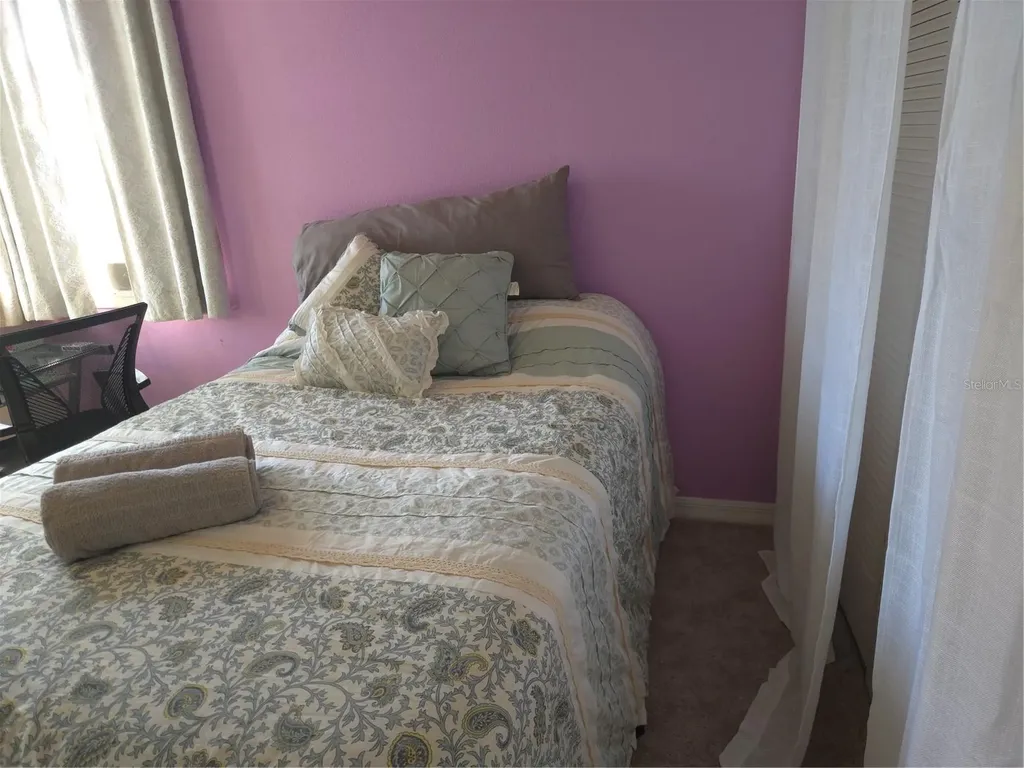 3165 Phlox Drive Palm Harbor FL 34684