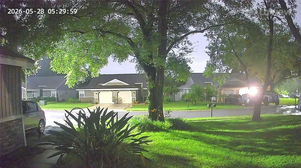 3165 Phlox Drive Palm Harbor FL 34684
