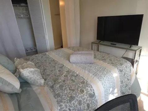 3165 Phlox Drive Palm Harbor FL 34684