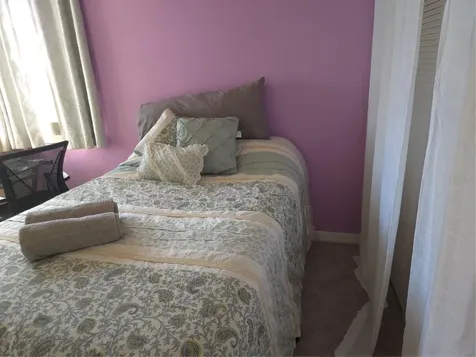 3165 Phlox Drive Palm Harbor FL 34684