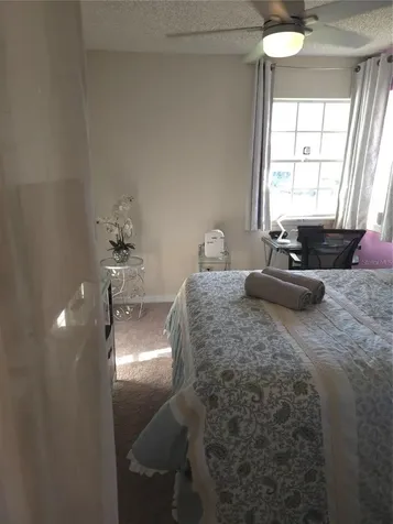 3165 Phlox Drive Palm Harbor FL 34684
