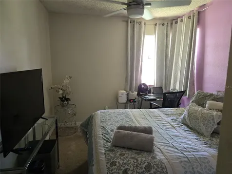 3165 Phlox Drive Palm Harbor FL 34684