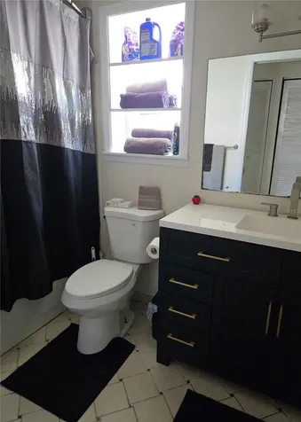 3165 Phlox Drive Palm Harbor FL 34684