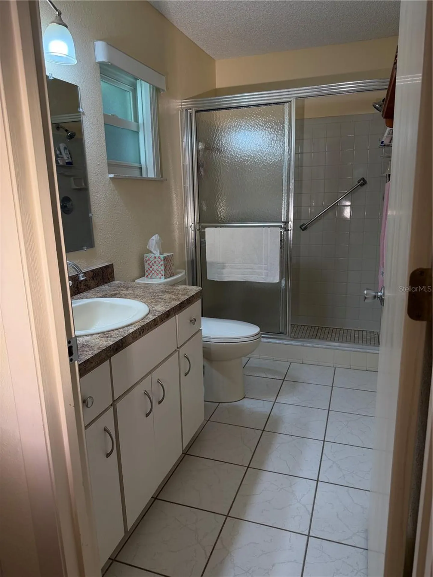 8582 SW 90th Place Ocala FL 34481