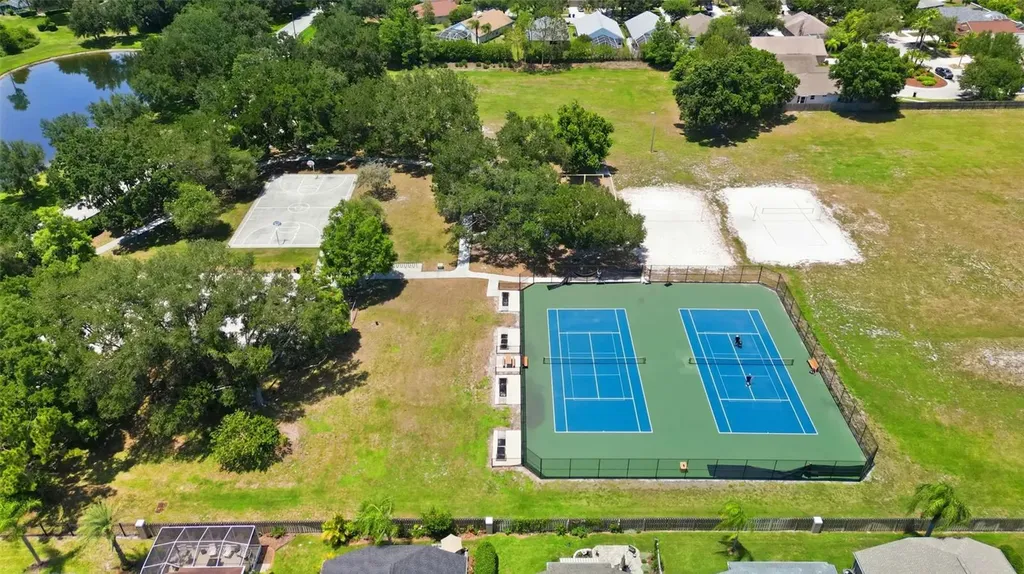 19720 Morden Blush Drive Lutz FL 33558