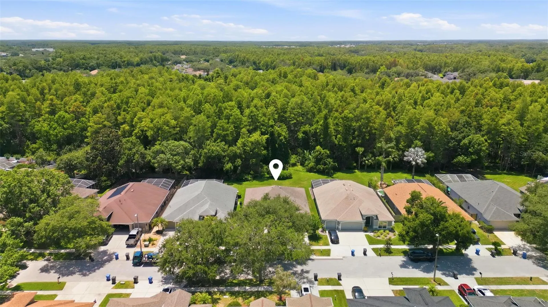 19720 Morden Blush Drive Lutz FL 33558