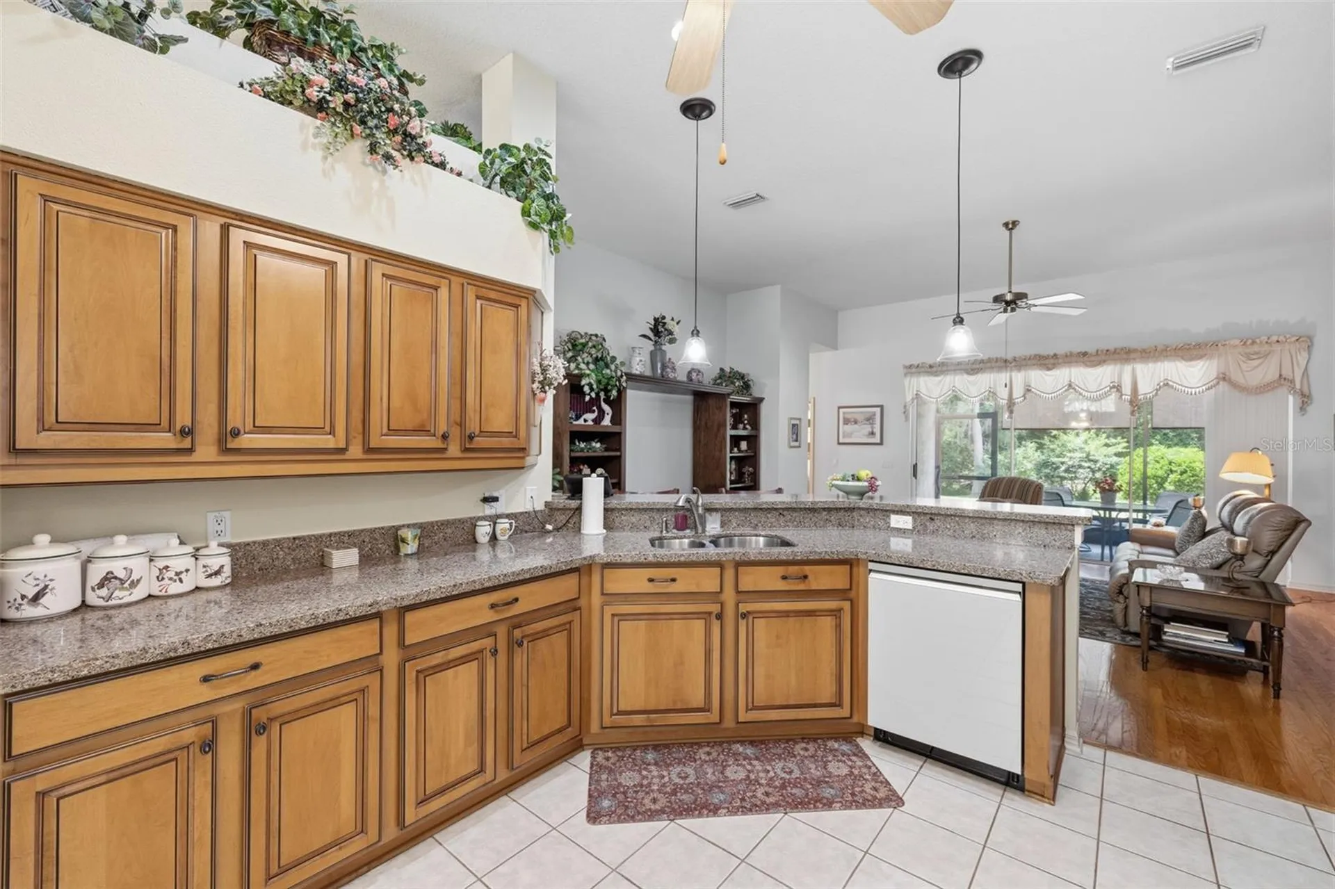 19720 Morden Blush Drive Lutz FL 33558
