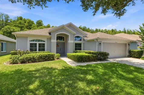 19720 Morden Blush Drive Lutz FL 33558