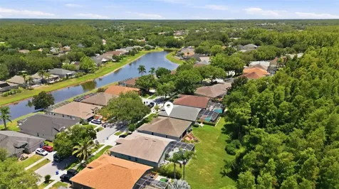 19720 Morden Blush Drive Lutz FL 33558