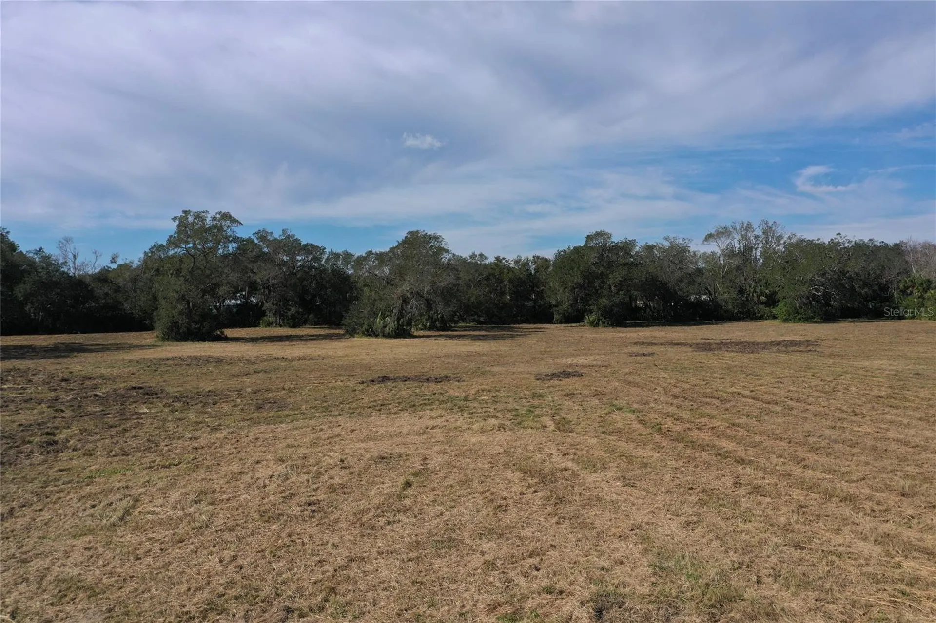 4558 S Ridgewood Avenue Edgewater FL 32141