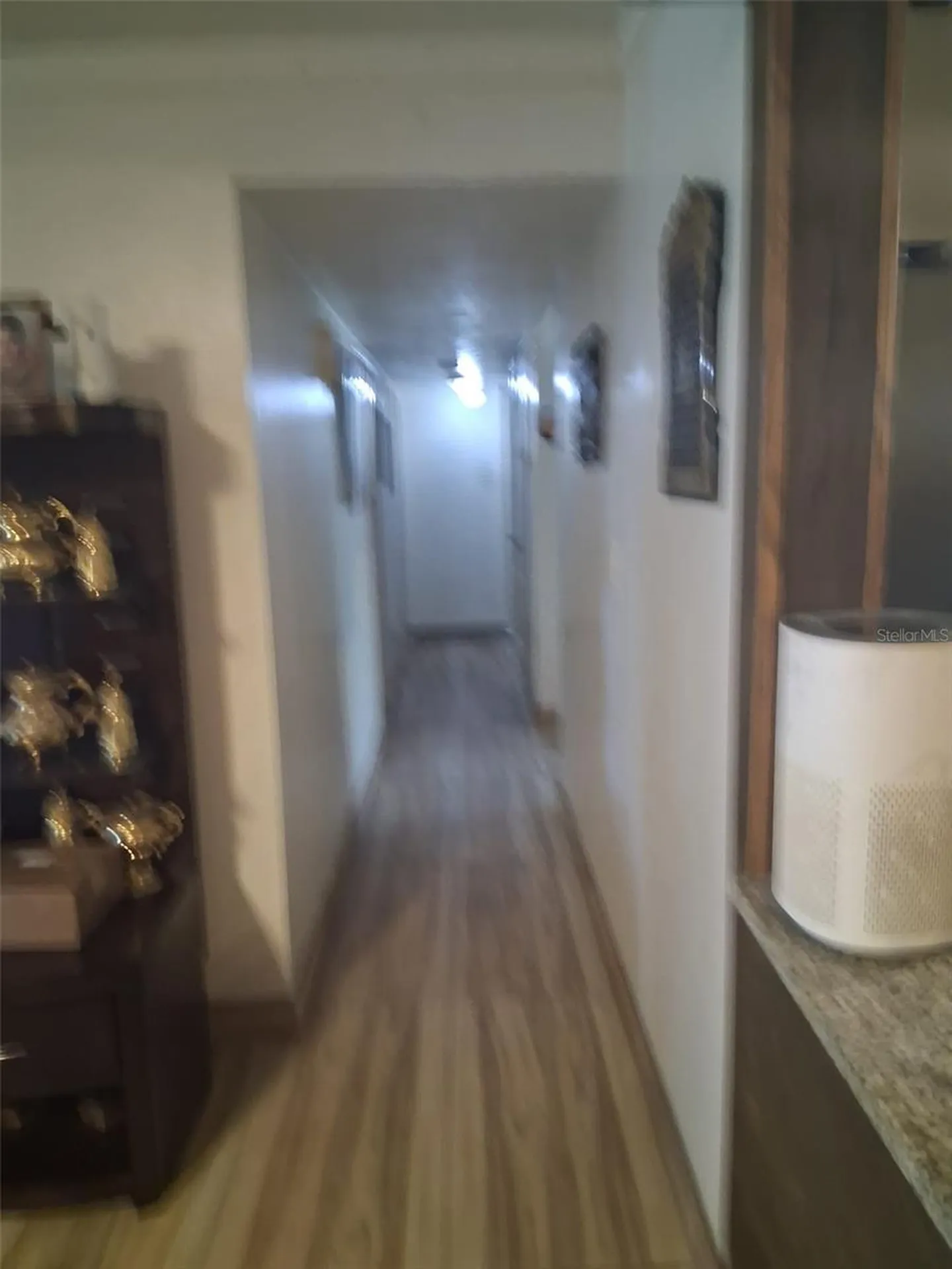 702 Coulter Place Brandon FL 33511