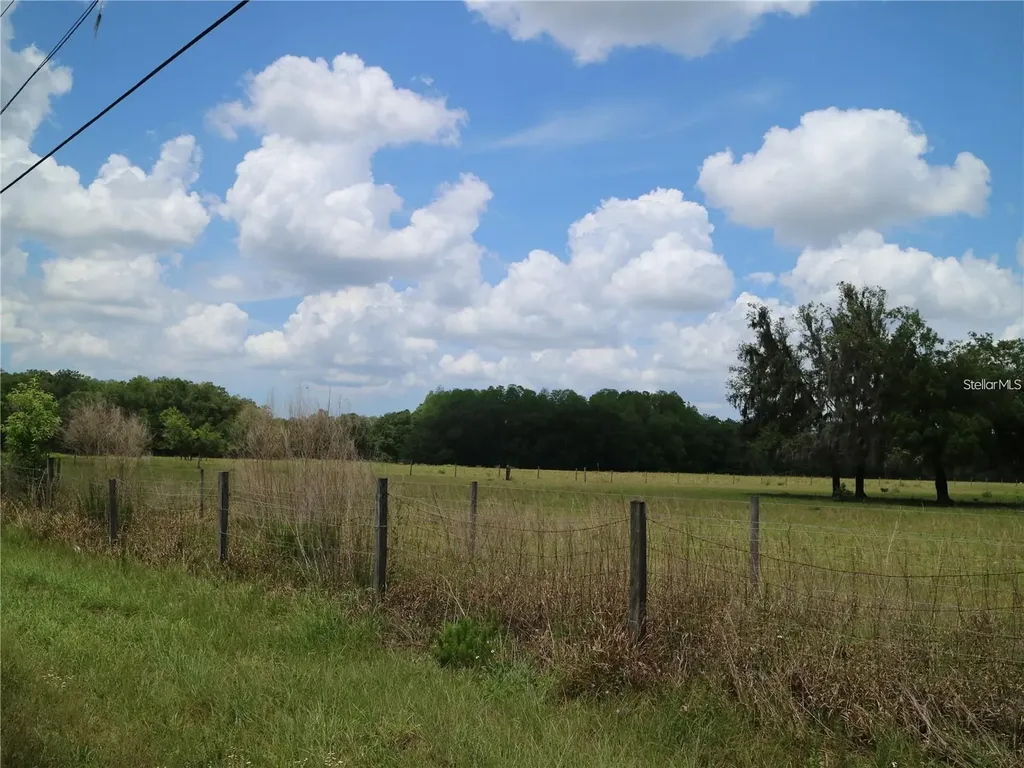 11819 Tarpon Springs Road Odessa FL 33556