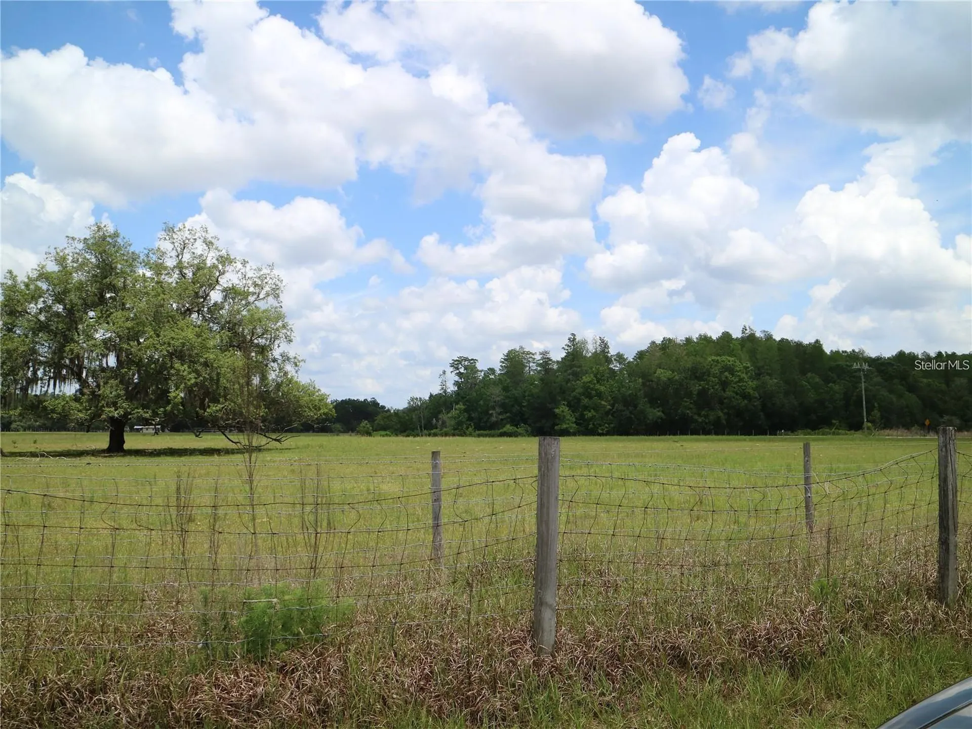 11819 Tarpon Springs Road Odessa FL 33556