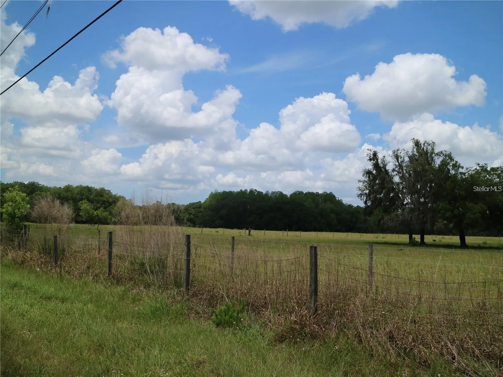 11819 Tarpon Springs Road Odessa FL 33556