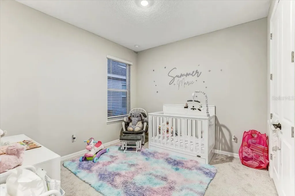 33886 Landsman Loop Wesley Chapel FL 33543
