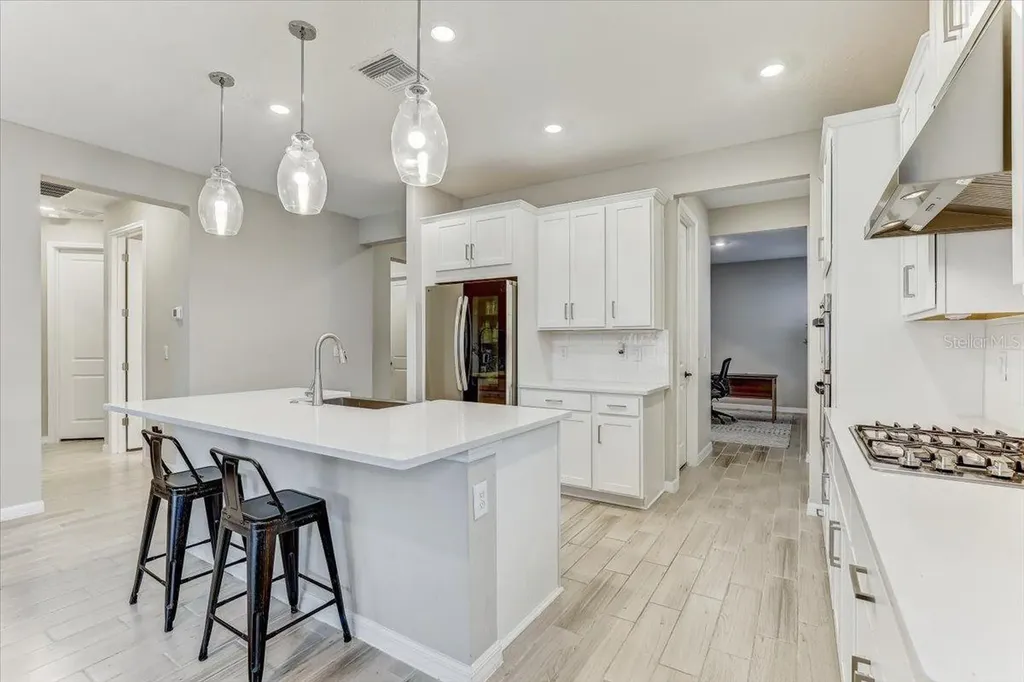 33886 Landsman Loop Wesley Chapel FL 33543