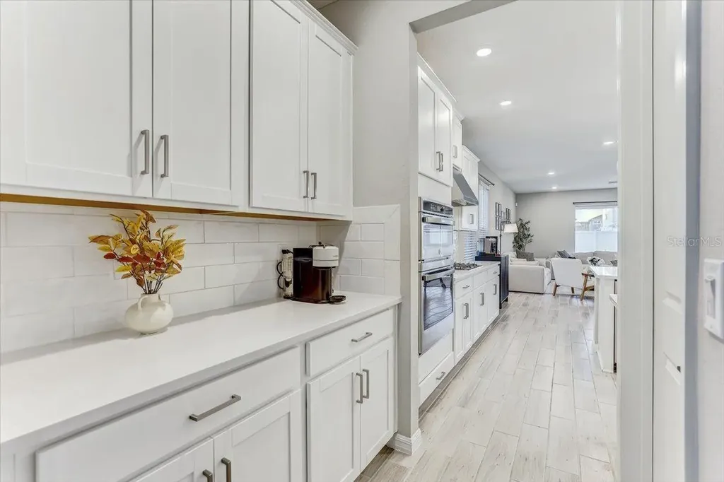 33886 Landsman Loop Wesley Chapel FL 33543