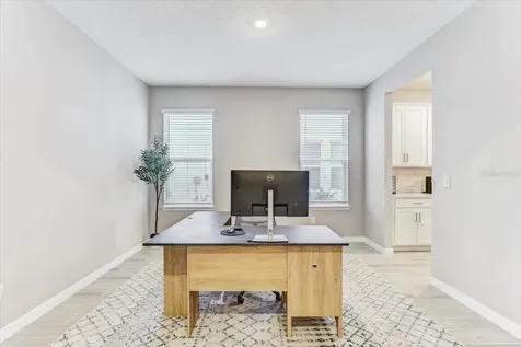 33886 Landsman Loop Wesley Chapel FL 33543