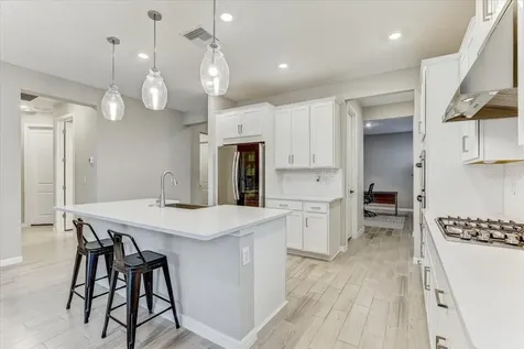 33886 Landsman Loop Wesley Chapel FL 33543
