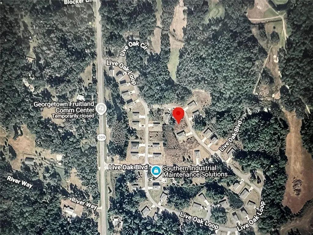 260 Live Oak Loop Crescent City FL 32112
